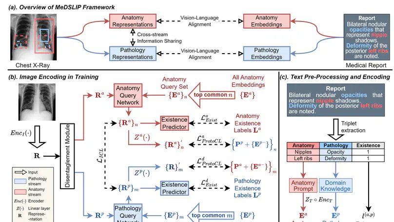 MeDSLIP: Medical Dual-Stream Language-Image Pre-training for Fine-grained Alignment